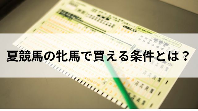 夏競馬の牝馬で買える条件とは?の見出し