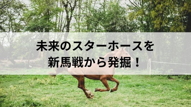 夏競馬の楽しみ方①|未来のスターホースを新馬戦から発掘!の見出し