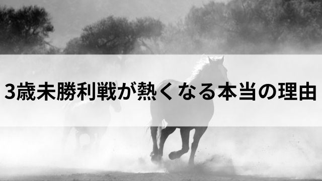 夏競馬の楽しみ方②|3歳未勝利戦が熱くなる本当の理由の見出し