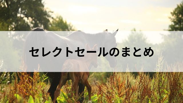 セレクトセールのまとめの見出し