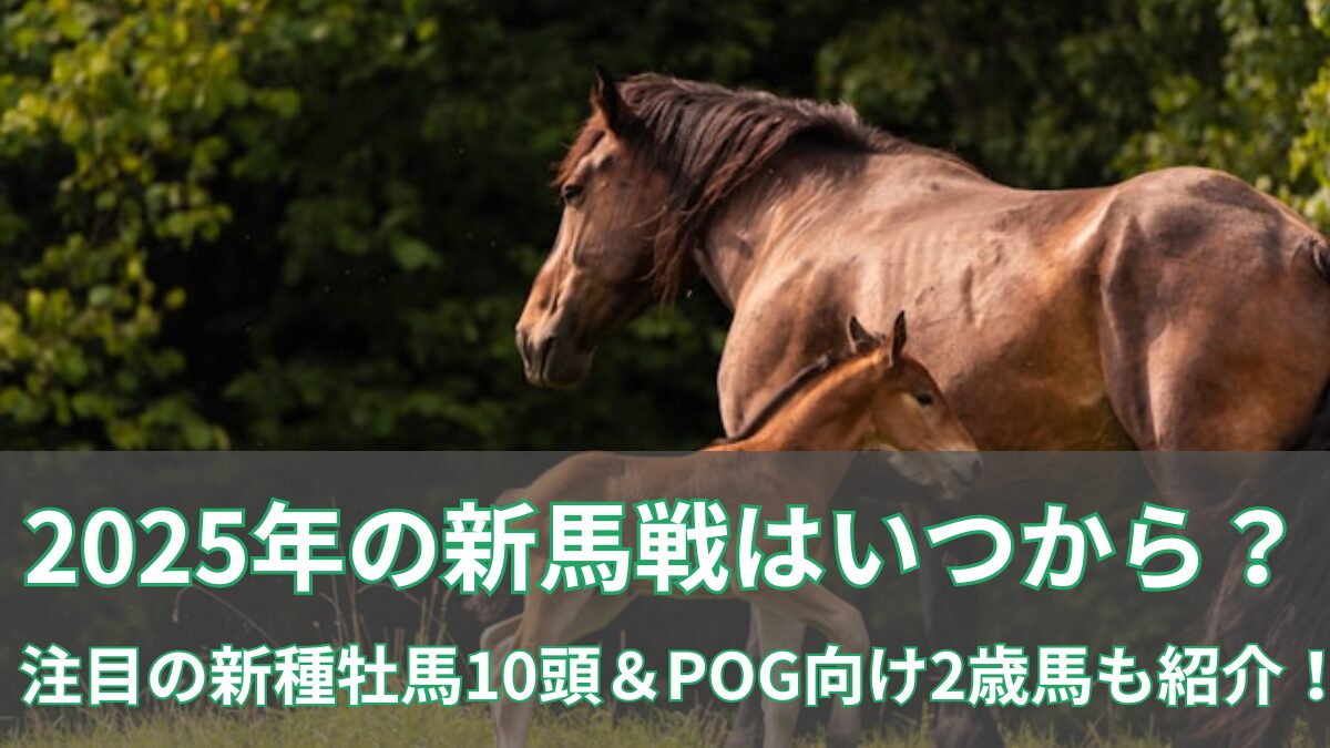 2025年の新馬戦はいつから？注目の新種牡馬10頭＆POG向け2歳馬も紹介！のアイキャッチ