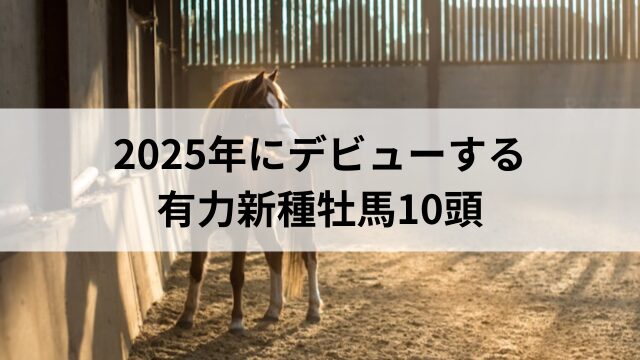 2025年にデビューする有力新種牡馬10頭の見出し