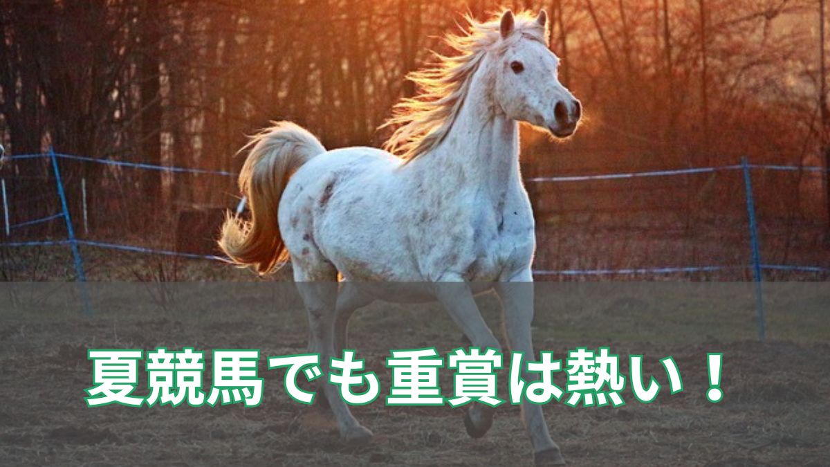 夏競馬でも重賞は熱い！注目3レースと荒れやすい傾向をデータで解説のアイキャッチ