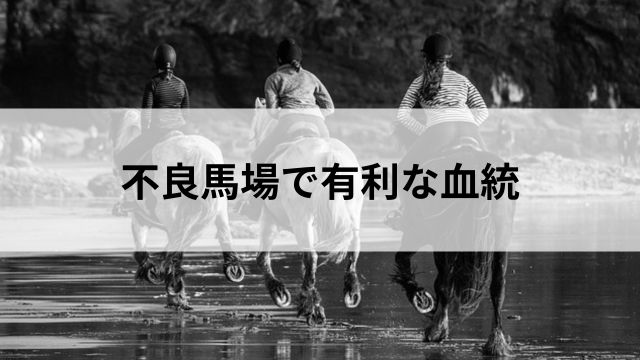 不良馬場で有利な血統の見出し