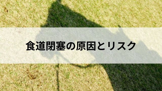 食道閉塞の原因とリスクの見出し