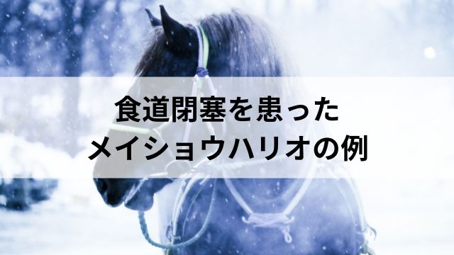 食道閉塞を患ったメイショウハリオの例の見出し