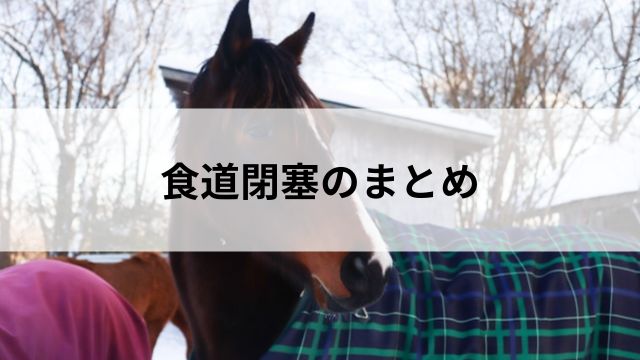 食道閉塞のまとめの見出し