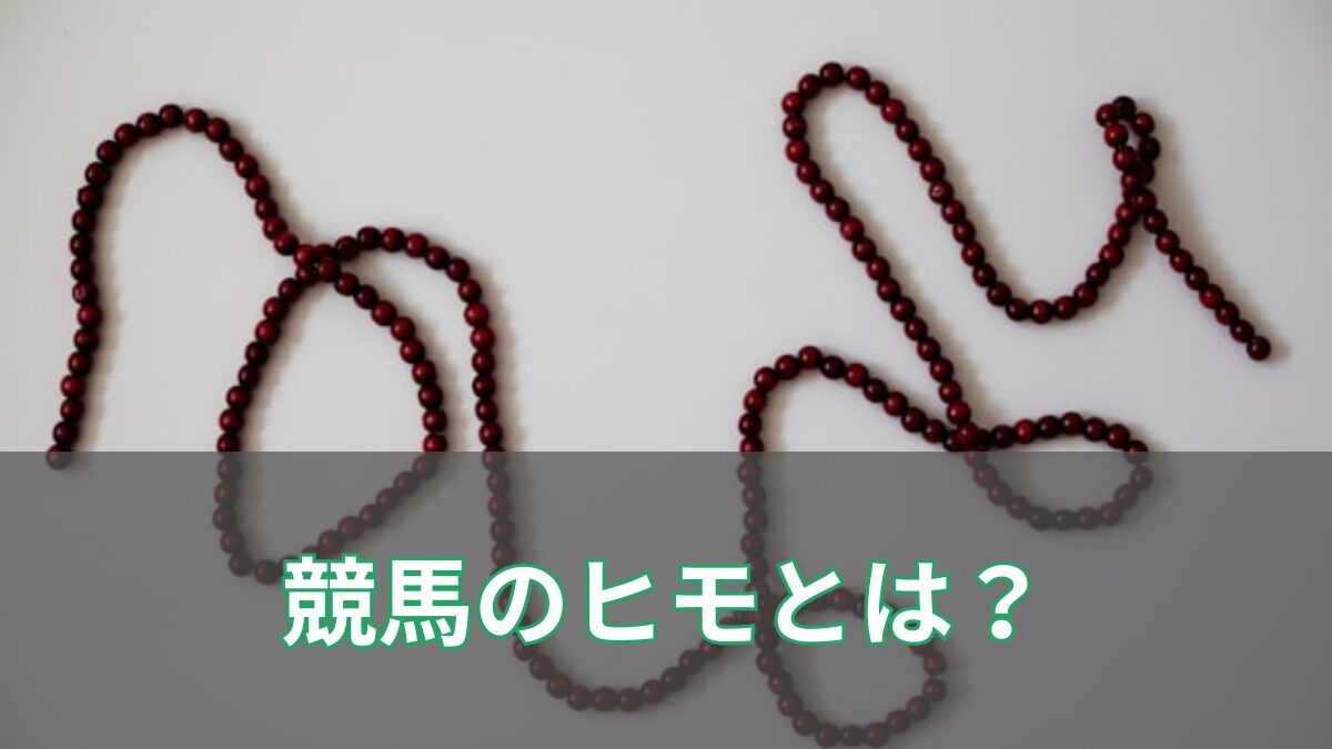 競馬のヒモのアイキャッチ