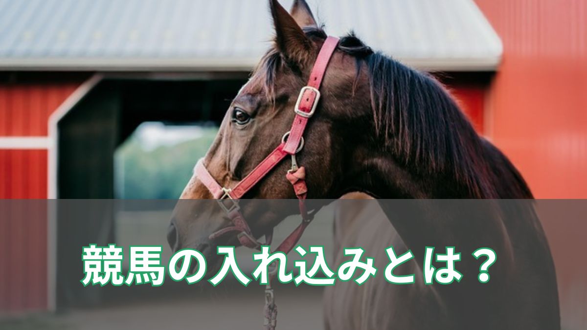 競馬における「入れ込み」とは？意味・原因・影響までわかりやすく解説のアイキャッチ