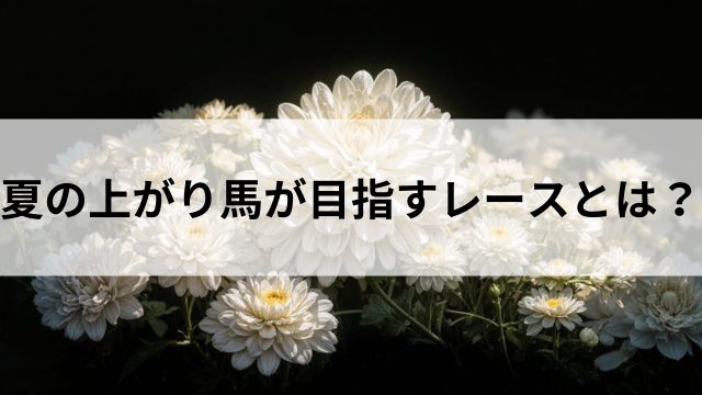 夏の上がり馬が目指すレースとは?の見出し