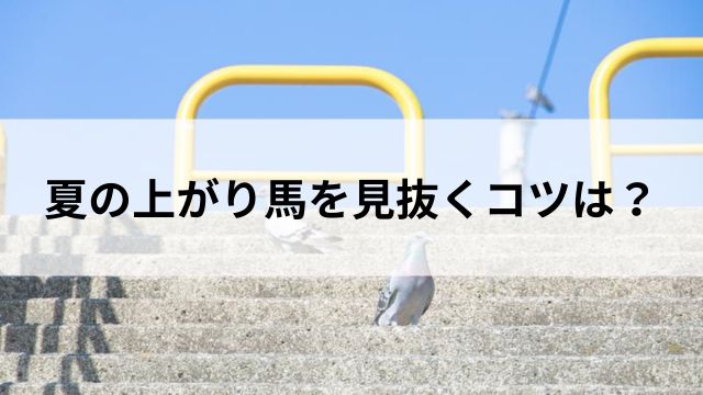 夏の上がり馬を見抜くコツは?の見出し