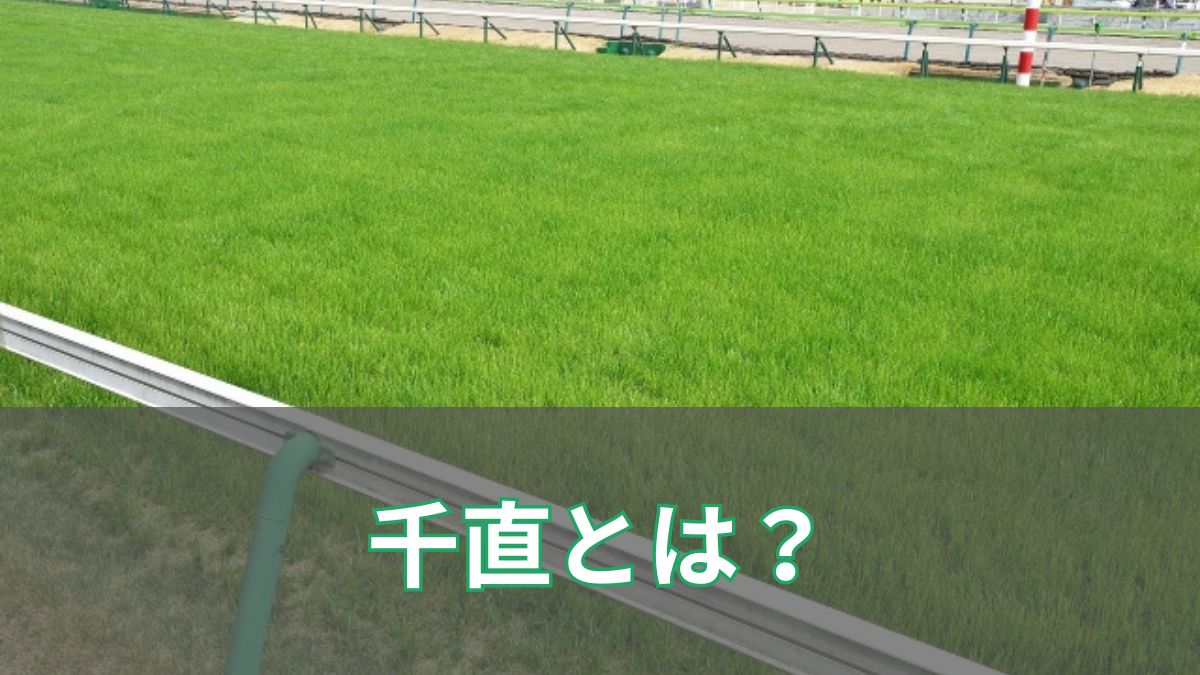 千直とは？新潟競馬場だけで行われる“直線1,000mレース”の魅力と攻略法を解説！のアイキャッチ