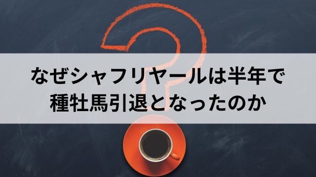 なぜシャフリヤールは半年で種牡馬引退となったのかの見出し