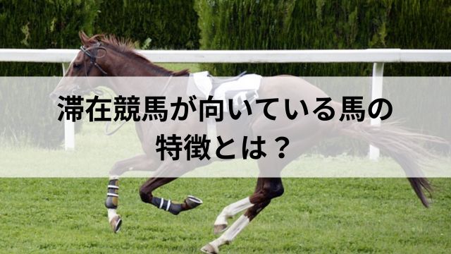 滞在競馬が向いている馬の特徴とは？の見出し