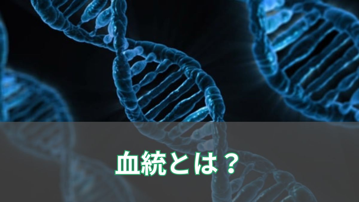 競馬における血統とは？初心者でも分かる活用法と勉強方法のアイキャッチ