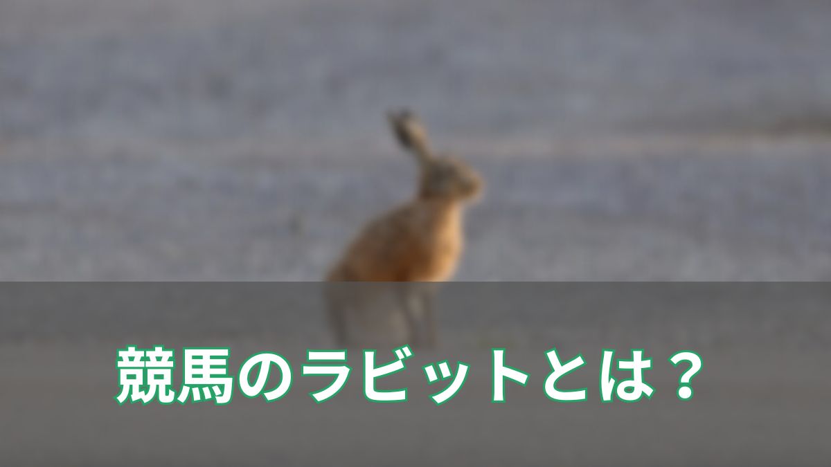 競馬におけるラビットとは？意味や禁止ルール、海外との違いを徹底解説のアイキャッチ