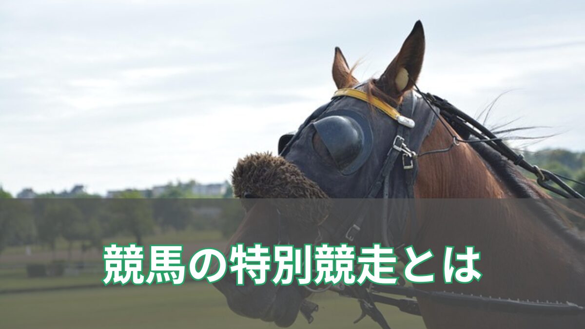 競馬の特別競走とは？意味や特徴を初心者向けにわかりやすく解説【季節別の有名レース一覧】のアイキャッチ