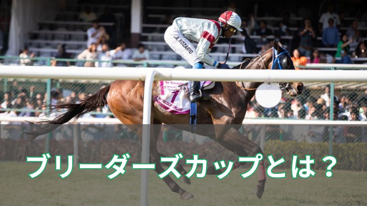 ブリーダーズカップ2025の賞金総額は?全14レースの金額一覧と仕組みを徹底解説のアイキャッチ