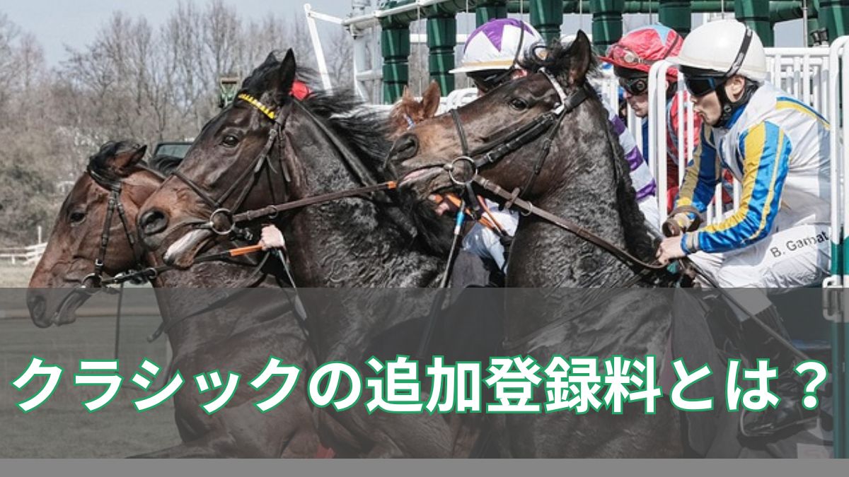 クラシックの追加登録料とは？200万円の理由と制度の仕組みを徹底解説のアイキャッチ