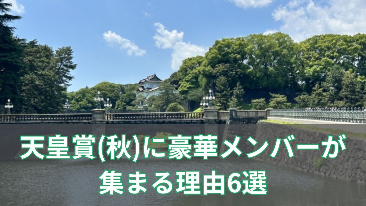 天皇賞(秋)に豪華メンバーが集まる理由6選【格式・舞台・賞金すべてが最高峰】のアイキャッチ