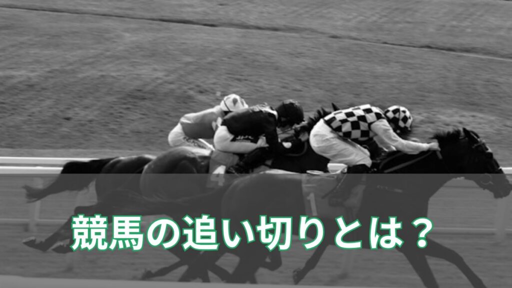 競馬の「追い切り」とは？初心者でも馬の仕上がりを見抜ける完全ガイドのアイキャッチ