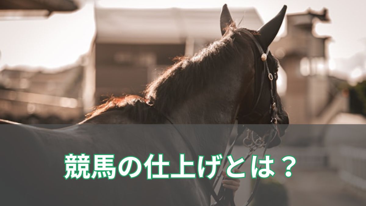 競馬の仕上げ全部解説｜急仕上げ・メイチ仕上げ・究極仕上げ・天栄仕上げは何が違う？のアイキャッチ