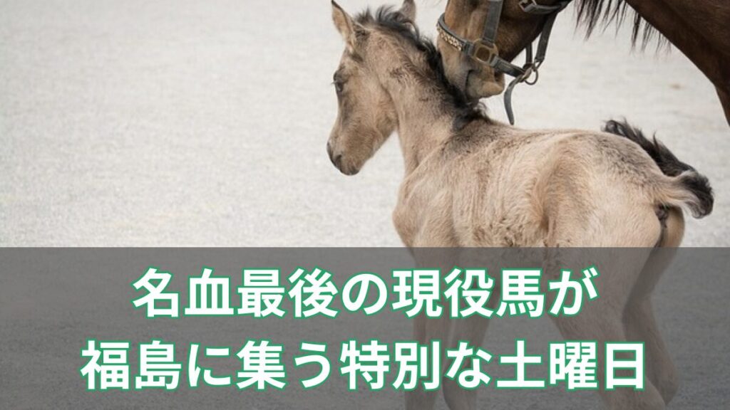 ステイゴールド・マンハッタンカフェ・キングヘイロー…名血最後の現役馬が福島に集う特別な土曜日のアイキャッチ