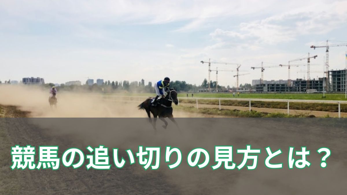 競馬の追い切りはどこを見る？正しい見方と激走馬を見抜くチェックポイントを徹底解説のアイキャッチ