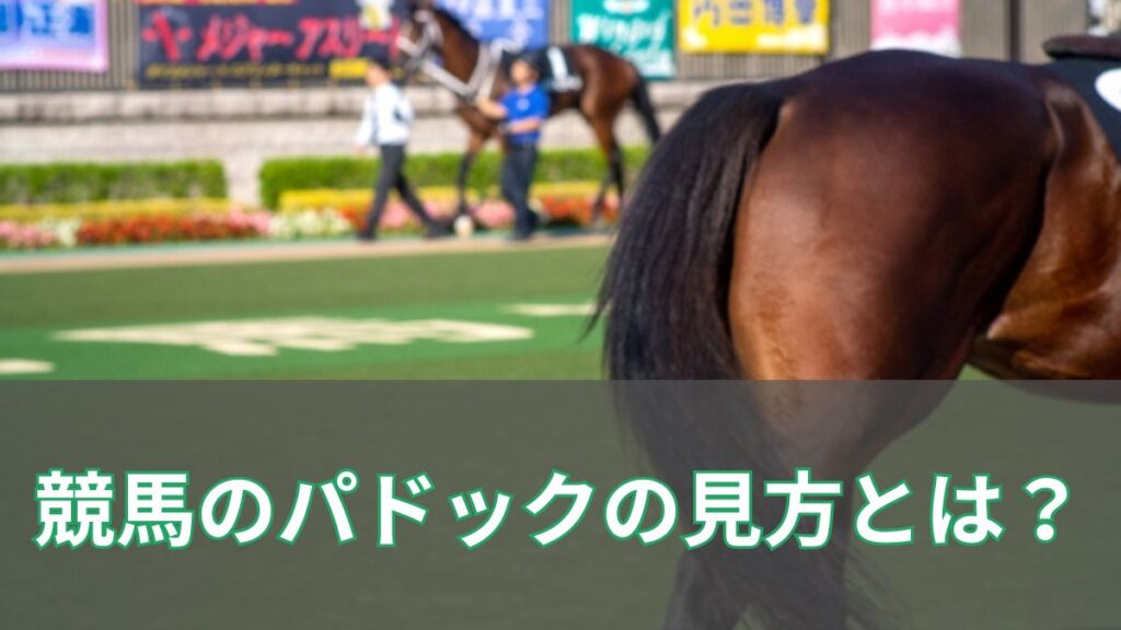 競馬のパドックの見方とは？初心者でもわかるポイントを徹底解説【競馬予想の基本】のアイキャッチ