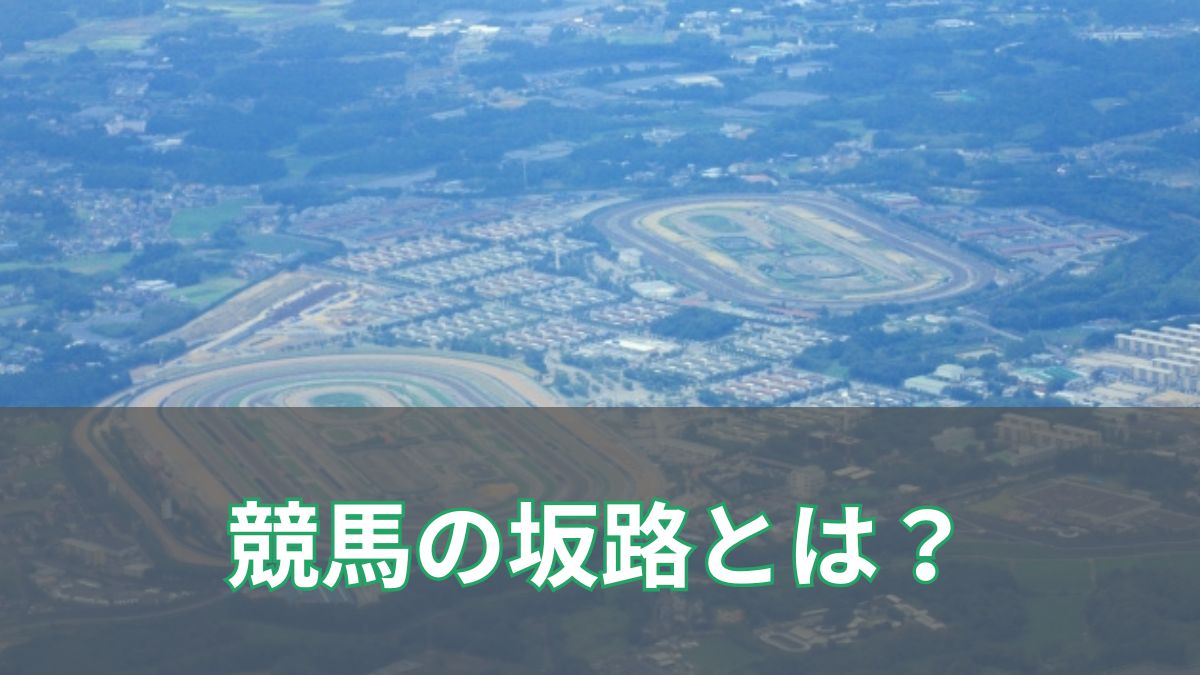 競馬の坂路とは?調教で使われる理由をわかりやすく解説のアイキャッチ