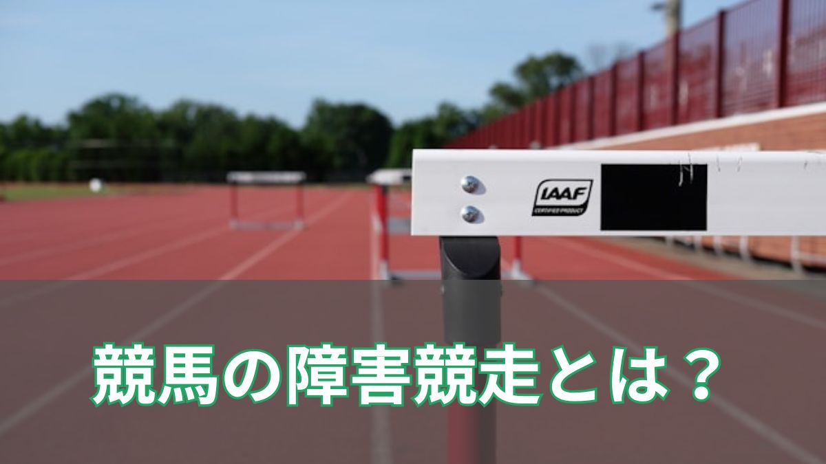 競馬の障害競走とは？意味・特徴・代表レースを初心者向けに解説のアイキャッチ