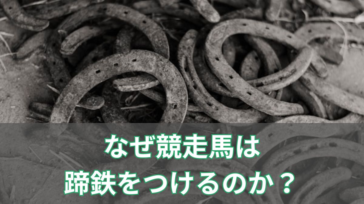 なぜ競走馬は蹄鉄をつけるのか?競馬で使われる意味をわかりやすく解説のアイキャッチ