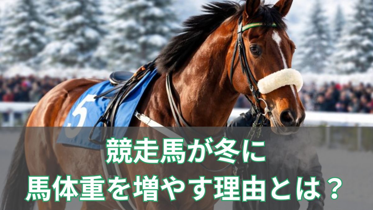 競走馬が冬に馬体重を増やす理由とは？太ったわけではない意外な背景を解説のアイキャッチ