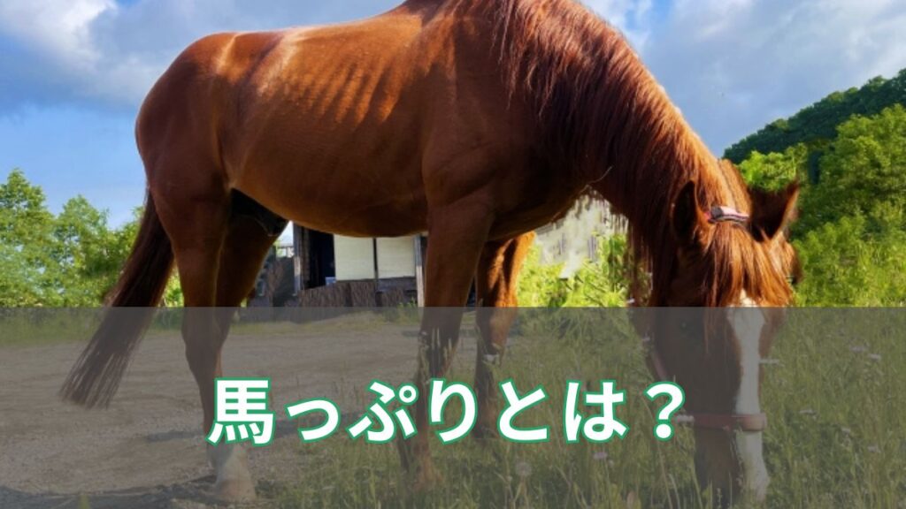 馬っぷりとは？競馬で使われる意味や見方を初心者向けにわかりやすく解説のアイキャッチ