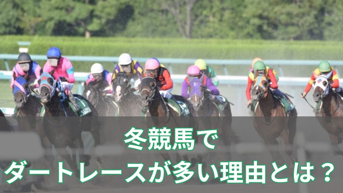 冬競馬でダートレースが多い理由とは?芝が減る仕組みと番組編成をわかりやすく解説のアイキャッチ