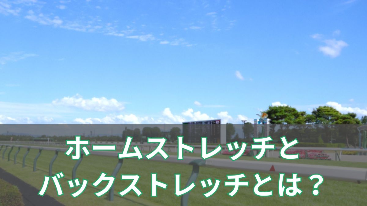 競馬のホームストレッチ・バックストレッチとは？意味と違いを初心者向けに解説のアイキャッチ