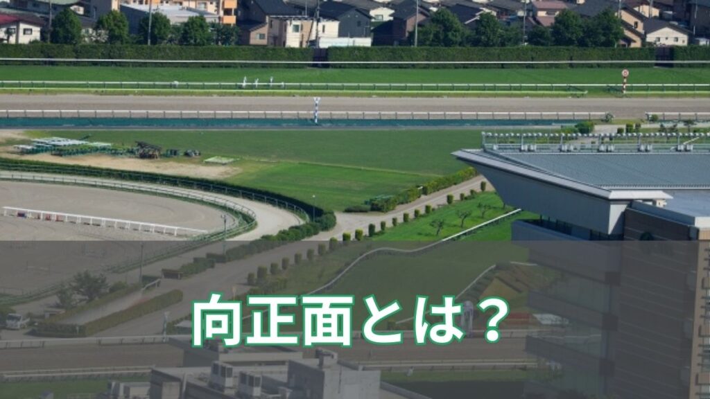 競馬の向正面とは？どこにあるのかを初心者向けにわかりやすく解説のアイキャッチ