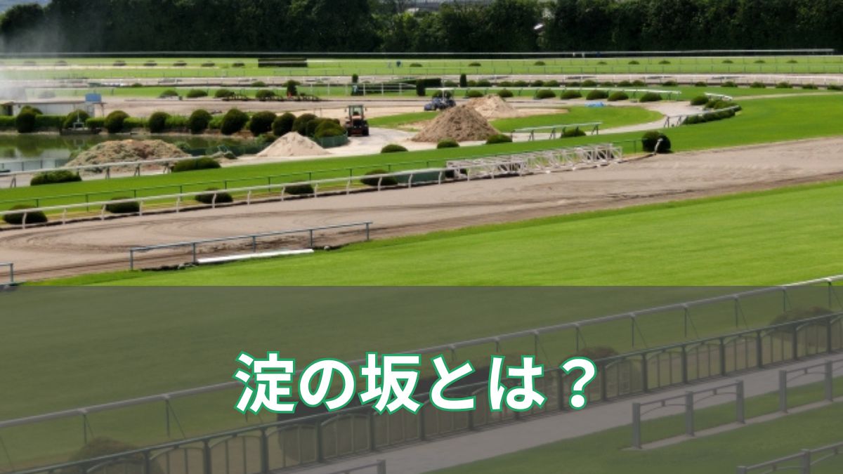 淀の坂とは？タブーとされた理由から菊花賞の最新攻略法まで解説のアイキャッチ