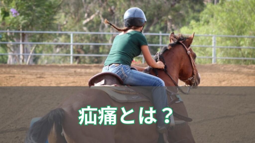 競馬の疝痛(せんつう)とは?原因・見分け方・死亡リスクまでわかりやすく解説のアイキャッチ