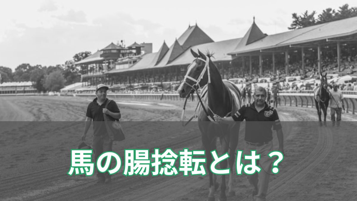 馬の腸捻転とは?突然死を招く重度の疝痛と予防・対処法をわかりやすく解説のアイキャッチ