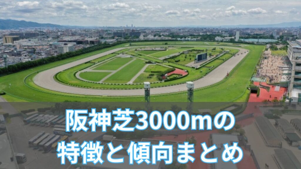 阪神芝3,000mの特徴と傾向まとめ|レコードや攻略ポイントも徹底解説のアイキャッチ