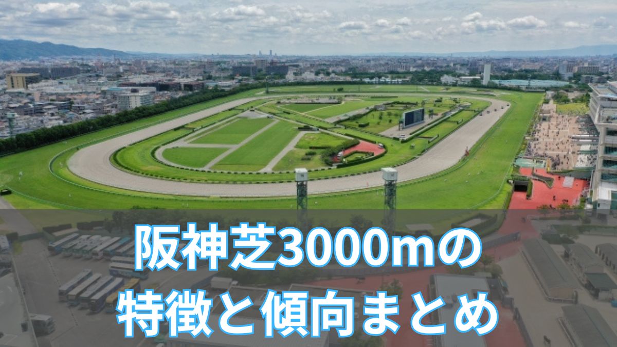阪神芝3,000mの特徴と傾向まとめ｜レコードや攻略ポイントも徹底解説のアイキャッチ
