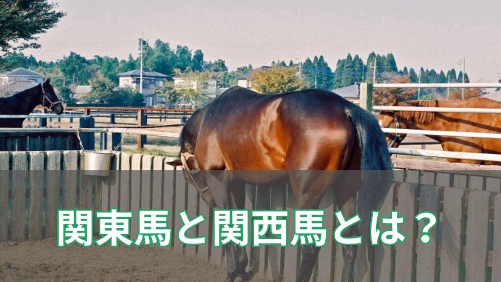 競馬の関東馬と関西馬とは？見分け方・違い・G1勝利数から強さを解説のアイキャッチ