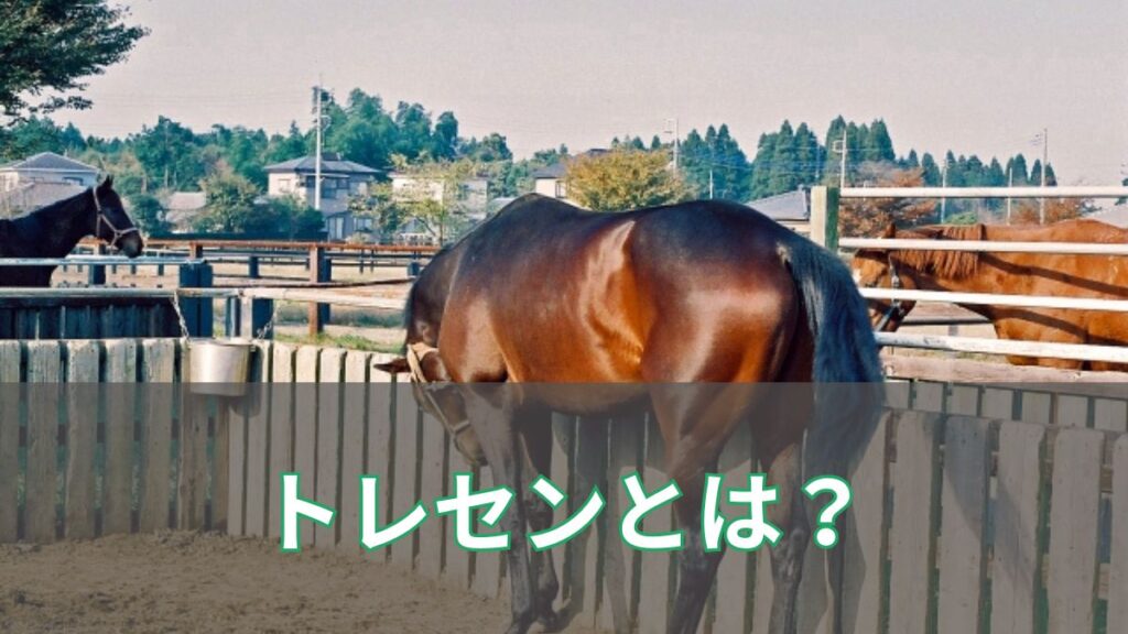トレセンとは?競馬のトレーニングセンターの役割や施設、美浦・栗東の違いを解説のアイキャッチ