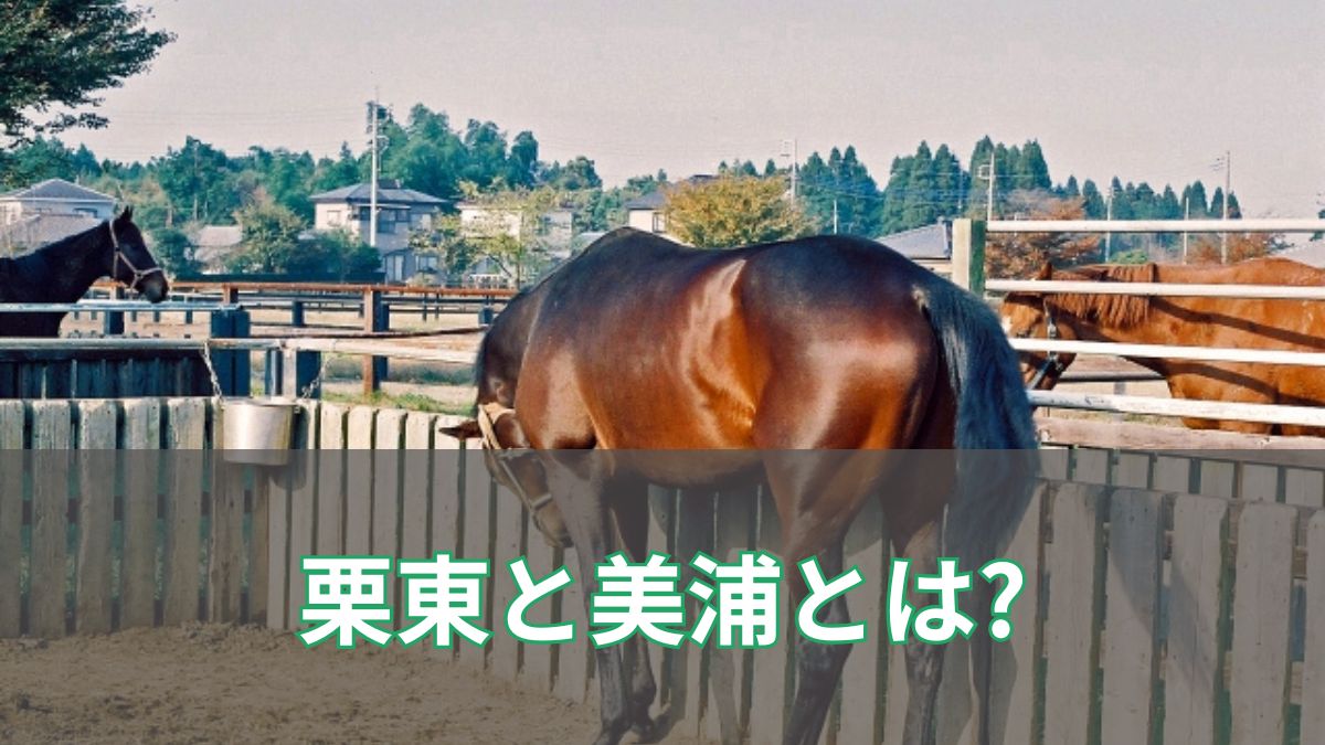 栗東と美浦とは? 競馬初心者向けに意味・違い・場所をわかりやすく解説のアイキャッチ