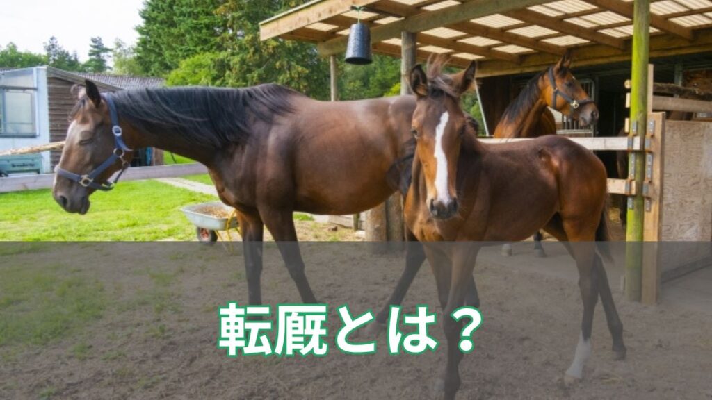 競馬の転厩とは？理由や転厩初戦の見方を初心者向けにわかりやすく解説のアイキャッチ