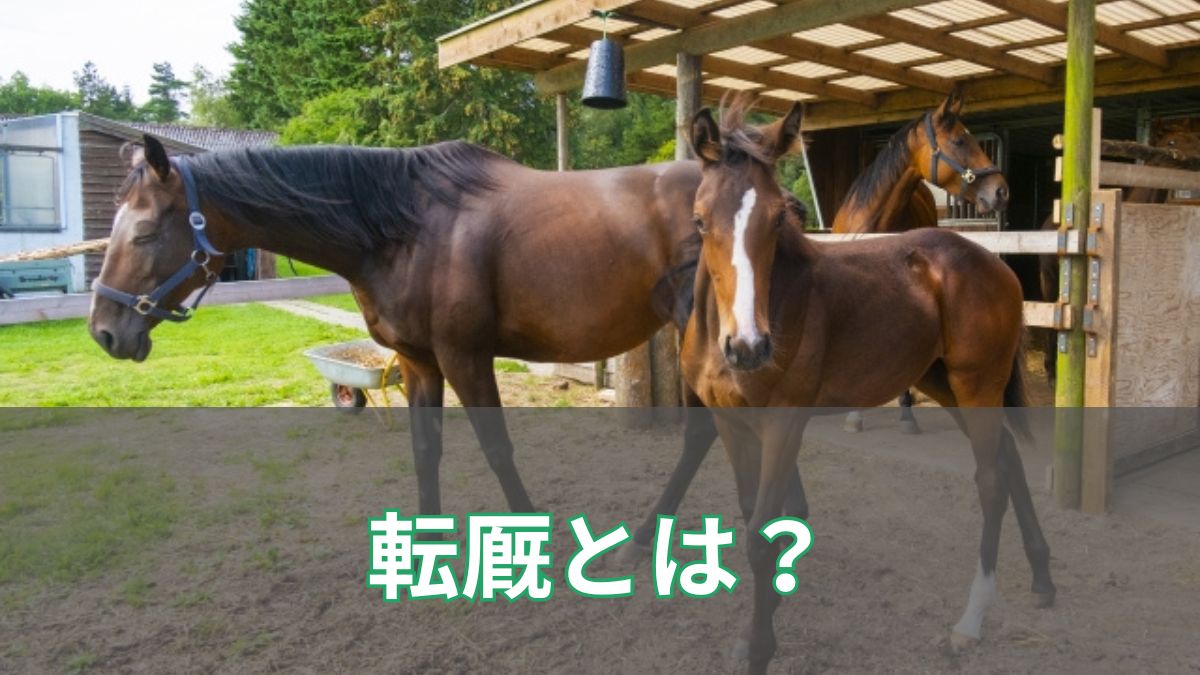 競馬の転厩とは？理由や転厩初戦の見方を初心者向けにわかりやすく解説のアイキャッチ