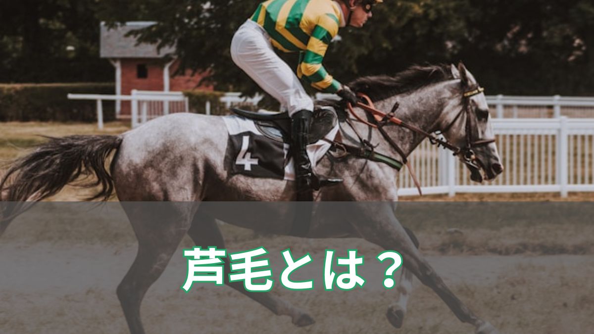 芦毛とは?読み方や白毛との違い・芦毛の名馬を初心者向けに解説のアイキャッチ