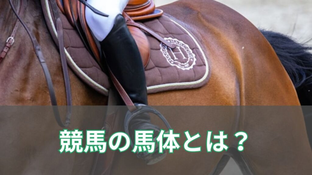競馬の馬体とは？見方やレースへの影響を初心者向けに解説のアイキャッチ