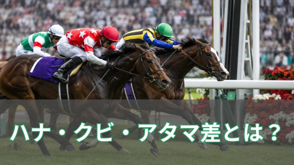 競馬のハナ差・クビ差・アタマ差とは？どれが一番僅差なのか初心者向けに解説のアイキャッチ